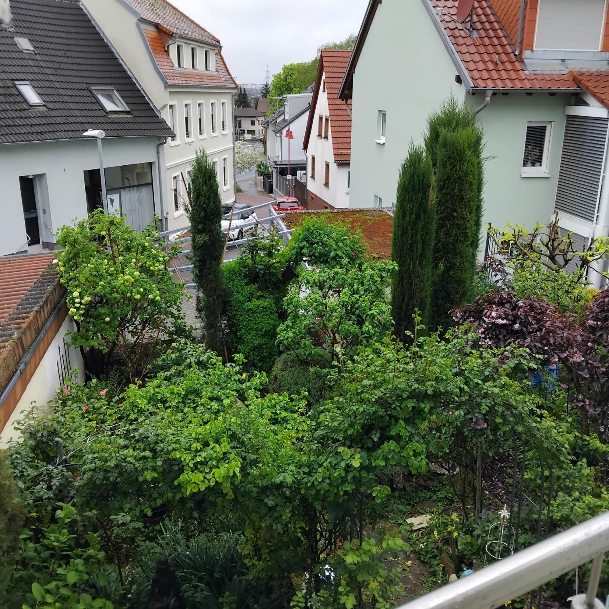 Residenz Am Berg Apartment Leimen  Bagian luar foto